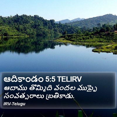 ఆదికాండం 5:5 TELIRV Bible Verse Image