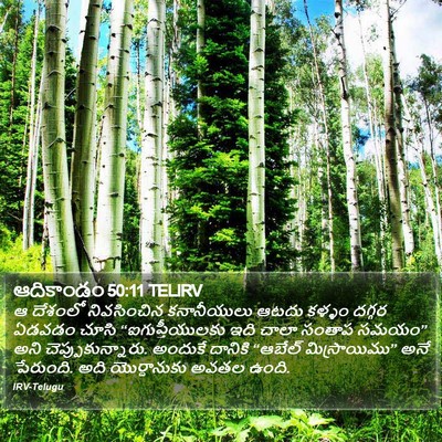ఆదికాండం 50:11 TELIRV Bible Verse Image