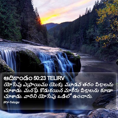 ఆదికాండం 50:23 TELIRV Bible Verse Image