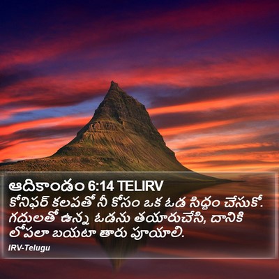 ఆదికాండం 6:14 TELIRV Bible Verse Image