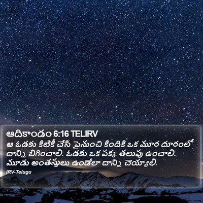 ఆదికాండం 6:16 TELIRV Bible Verse Image