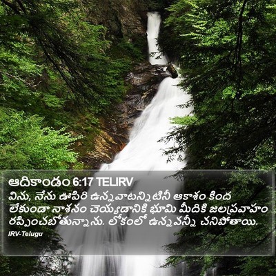 ఆదికాండం 6:17 TELIRV Bible Verse Image