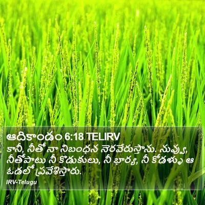 ఆదికాండం 6:18 TELIRV Bible Verse Image