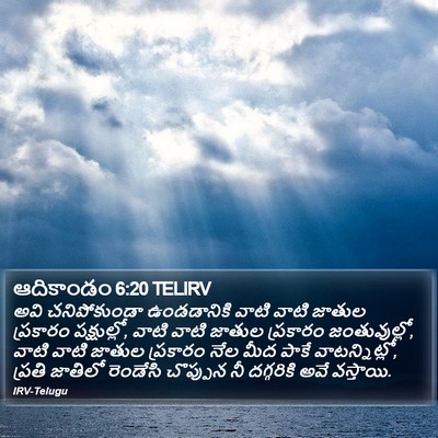 ఆదికాండం 6:20 TELIRV Bible Verse Image