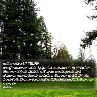 ఆదికాండం 6:7 TELIRV Bible Verse Image