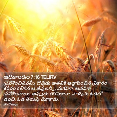 ఆదికాండం 7:16 TELIRV Bible Verse Image