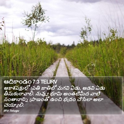 ఆదికాండం 7:3 TELIRV Bible Verse Image