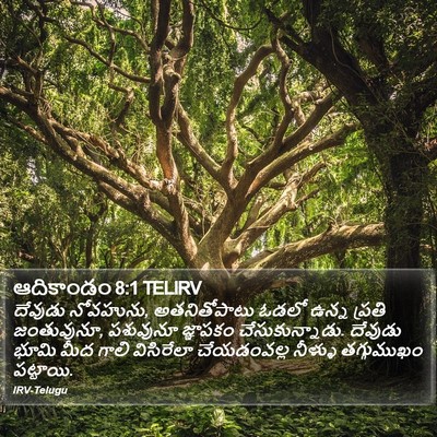 ఆదికాండం 8:1 TELIRV Bible Verse Image