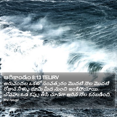 ఆదికాండం 8:13 TELIRV Bible Verse Image