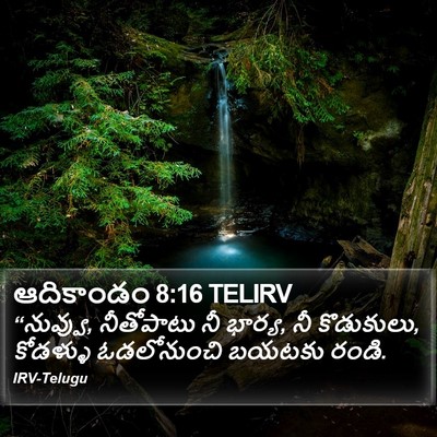 ఆదికాండం 8:16 TELIRV Bible Verse Image