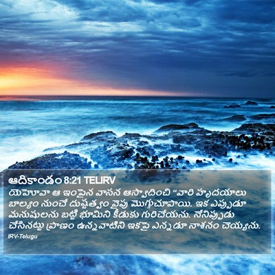 ఆదికాండం 8:21 TELIRV Bible Verse Image
