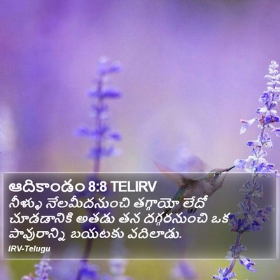 ఆదికాండం 8:8 TELIRV Bible Verse Image