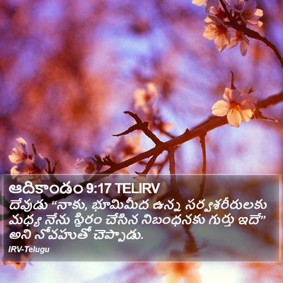 ఆదికాండం 9:17 TELIRV Bible Verse Image