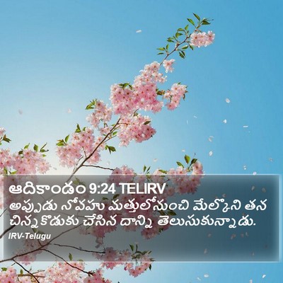 ఆదికాండం 9:24 TELIRV Bible Verse Image