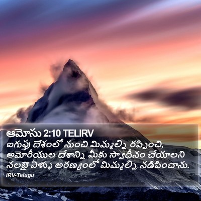 ఆమోసు 2:10 TELIRV Bible Verse Image