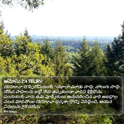 ఆమోసు 2:4 TELIRV Bible Verse Image