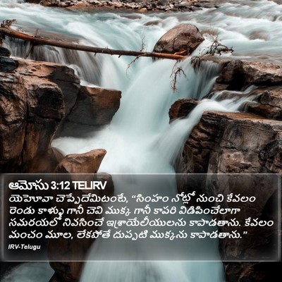 ఆమోసు 3:12 TELIRV Bible Verse Image
