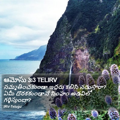 ఆమోసు 3:3 TELIRV Bible Verse Image