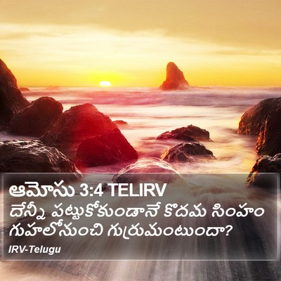 ఆమోసు 3:4 TELIRV Bible Verse Image
