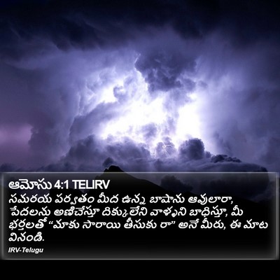 ఆమోసు 4:1 TELIRV Bible Verse Image