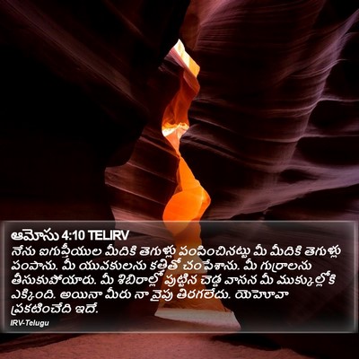 ఆమోసు 4:10 TELIRV Bible Verse Image