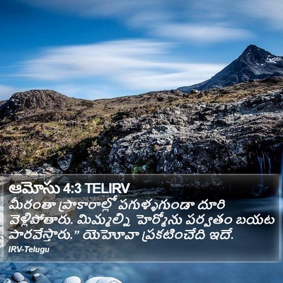 ఆమోసు 4:3 TELIRV Bible Verse Image