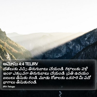 ఆమోసు 4:4 TELIRV Bible Verse Image