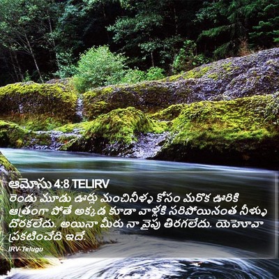 ఆమోసు 4:8 TELIRV Bible Verse Image