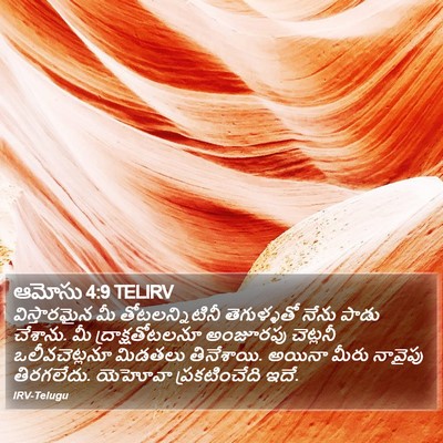 ఆమోసు 4:9 TELIRV Bible Verse Image