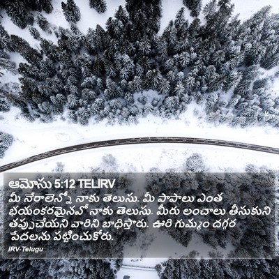 ఆమోసు 5:12 TELIRV Bible Verse Image
