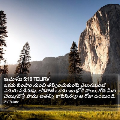 ఆమోసు 5:19 TELIRV Bible Verse Image