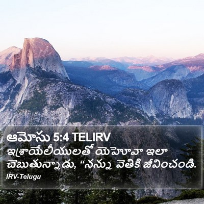 ఆమోసు 5:4 TELIRV Bible Verse Image