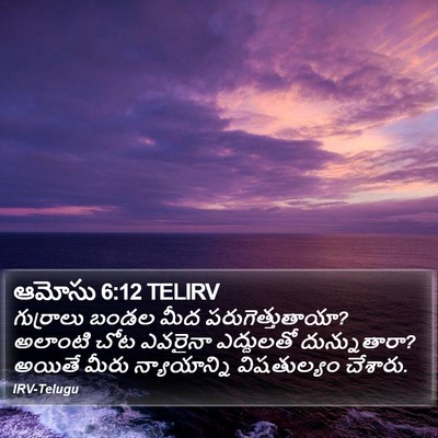 ఆమోసు 6:12 TELIRV Bible Verse Image