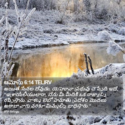 ఆమోసు 6:14 TELIRV Bible Verse Image