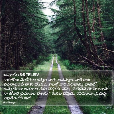 ఆమోసు 6:8 TELIRV Bible Verse Image