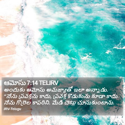 ఆమోసు 7:14 TELIRV Bible Verse Image