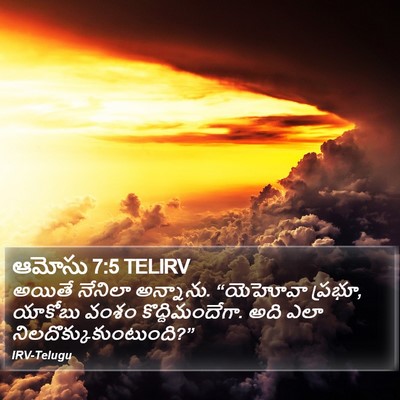 ఆమోసు 7:5 TELIRV Bible Verse Image