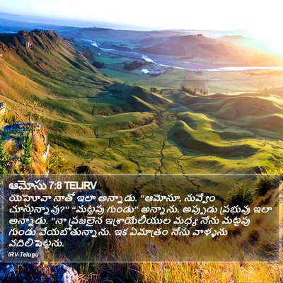 ఆమోసు 7:8 TELIRV Bible Verse Image
