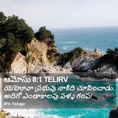 ఆమోసు 8:1 TELIRV Bible Verse Image