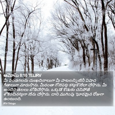 ఆమోసు 8:10 TELIRV Bible Verse Image