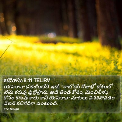 ఆమోసు 8:11 TELIRV Bible Verse Image