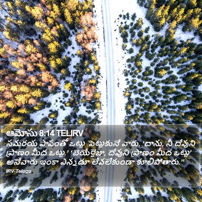 ఆమోసు 8:14 TELIRV Bible Verse Image