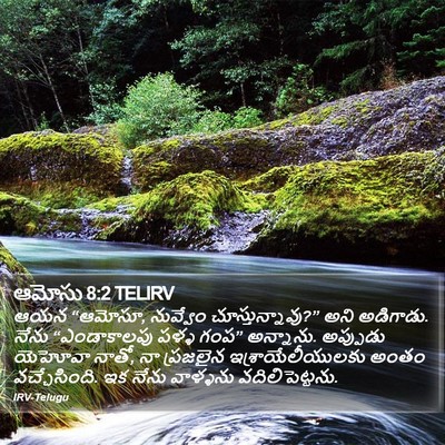 ఆమోసు 8:2 TELIRV Bible Verse Image