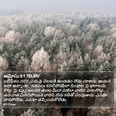 ఆమోసు 9:1 TELIRV Bible Verse Image