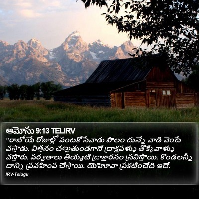 ఆమోసు 9:13 TELIRV Bible Verse Image