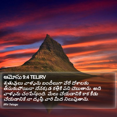 ఆమోసు 9:4 TELIRV Bible Verse Image