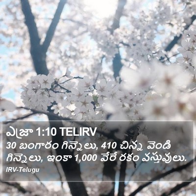 ఎజ్రా 1:10 TELIRV Bible Verse Image