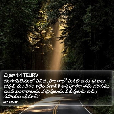 ఎజ్రా 1:4 TELIRV Bible Verse Image