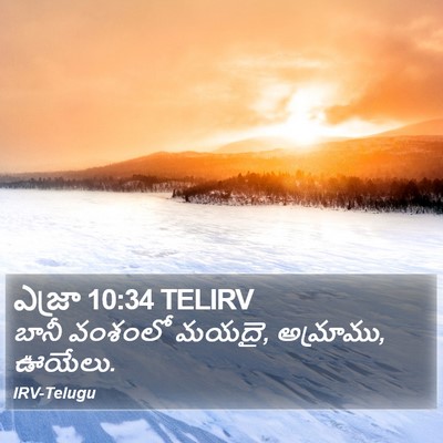 ఎజ్రా 10:34 TELIRV Bible Verse Image