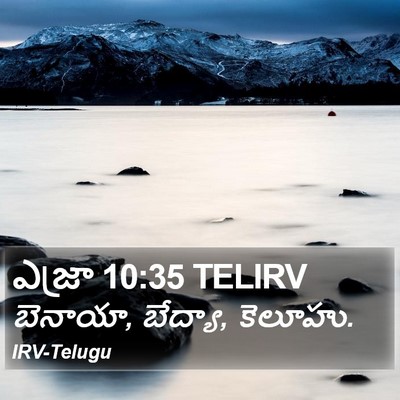 ఎజ్రా 10:35 TELIRV Bible Verse Image
